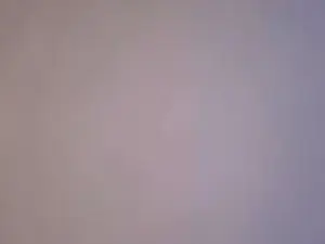 Cam4 Adult Webcams of popper4u