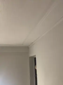 Cam4 Best Webcam of alexis3094