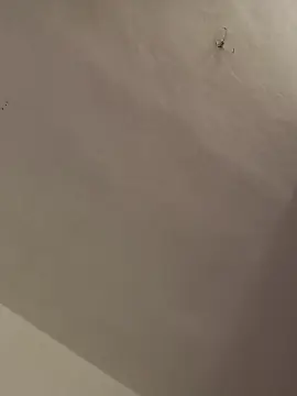 Cam4 Watch Live Sex Cams of pocholo30