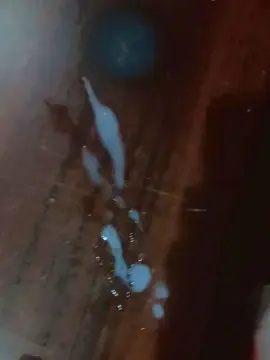 Cam4 Private Sex Chat of Elbrujooviedo