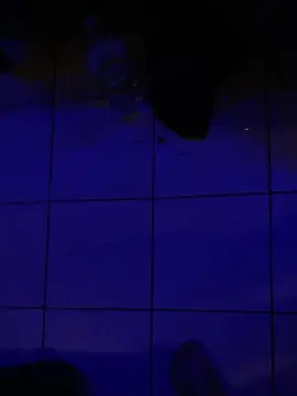Cam4 Best live sex cam show of alex18894