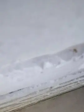 Cam4 Live Porn of anamariaaran