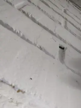 Cam4 Best live sex cam show of anamariaaran