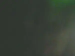 Cam4 Adult Webcams of Merleb