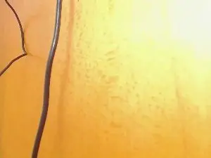 Cam4 Sex Chat of pollonbig07