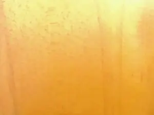 Cam4 Live Sex Cam of pollonbig07