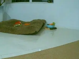 Cam4 Nude Webcam of skyjunior70