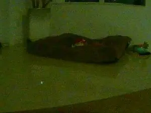 Cam4 Live Sex Cam of skyjunior70