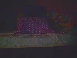 Cam4 Sex Cam of lemao77