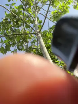 Cam4 Free Live Porn of Bellohot1525