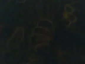 Cam4 Free Porn Cam of Hasan333