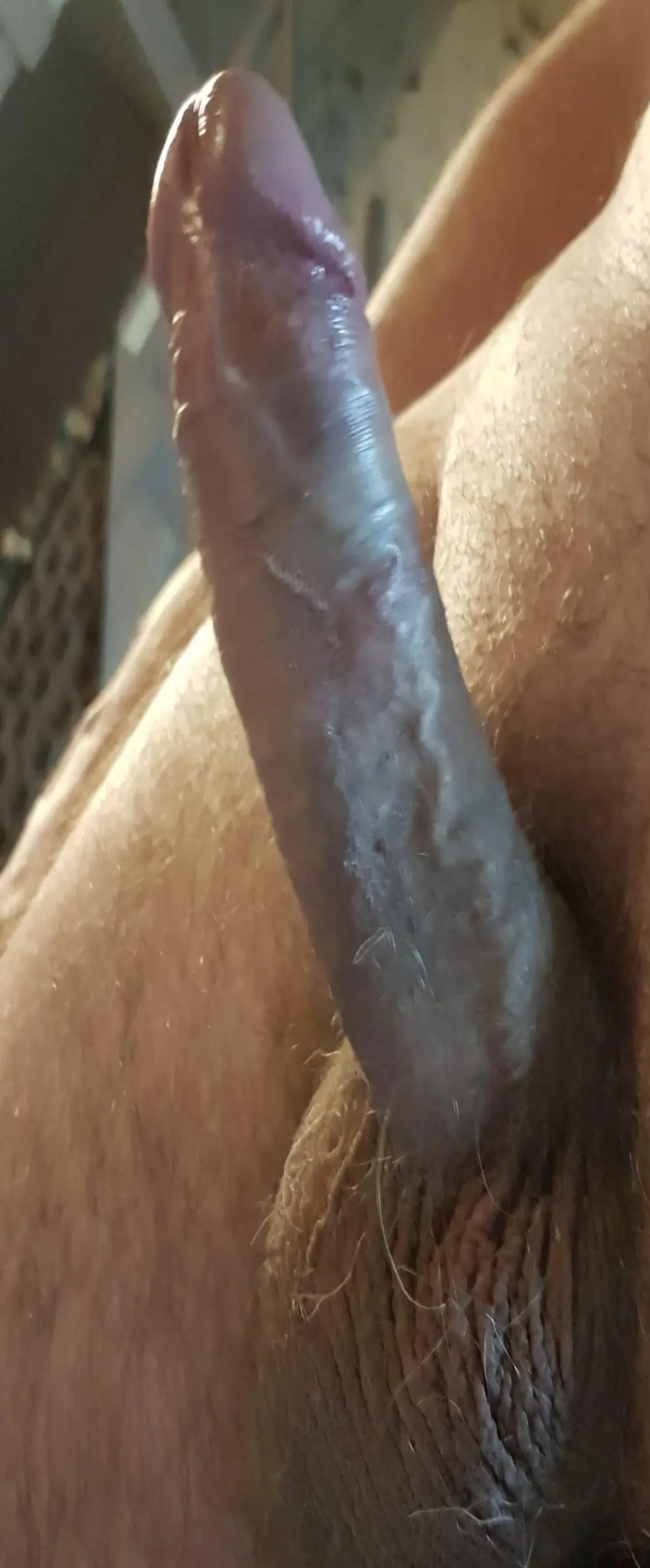 nicosand