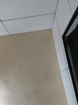 Cam4 Live Sex of Kelmts