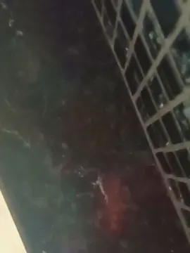 Cam4 Adult Webcams of Kelmts