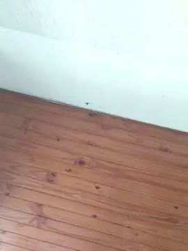 Cam4 Adult Webcam of Anirock90