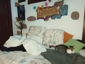 Cam4 Best live sex cam show of lionscage