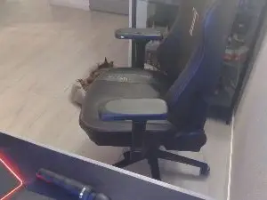 Cam4 Sex Chat of leukemeidutr