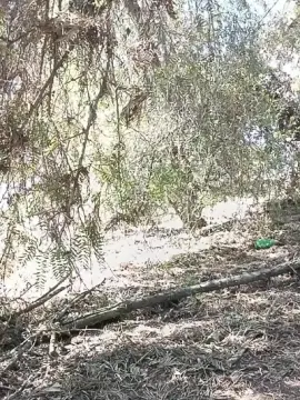 Cam4 Sex Cam of lokohelios1