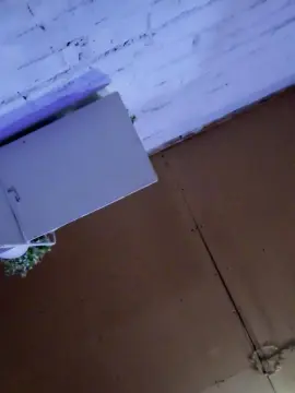 Cam4 Watch Live Sex Cams of Ikia24