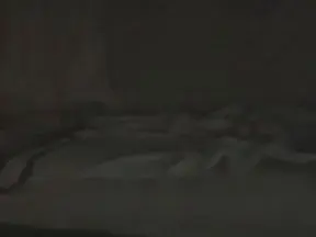 Cam4 Adult Webcams of Privateshow6