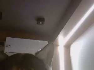 Cam4 Watch Live Sex Cams of SkinnyKittenCam