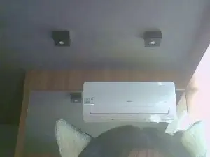 Cam4 Free Porn Cam of SkinnyKittenCam