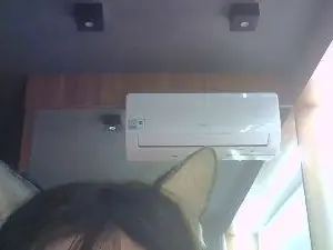 Cam4 Sex Cam of SkinnyKittenCam