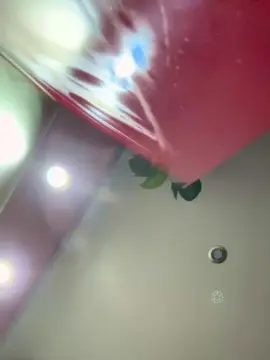 Cam4 Adult Webcam of Cedricdeeeee