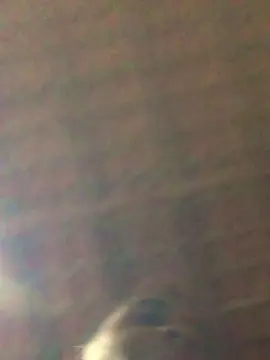 Cam4 Private Sex Chat of Novinhodmcz18cm