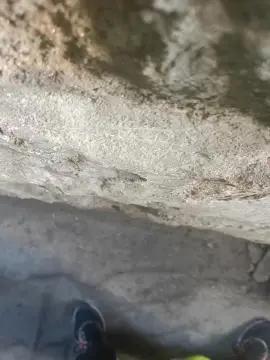 Cam4 Adult Webcam of pourvous22