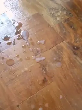 Cam4 Watch Live Sex Cams of Leco88mg