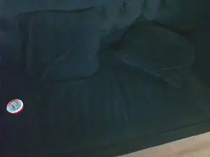 Cam4 Adult Webcam of gustavokro