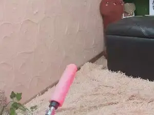 Cam4 Adult Webcam of amelialy