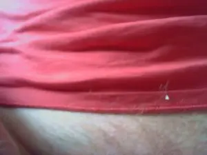 Cam4 Free Live Porn of cycloc