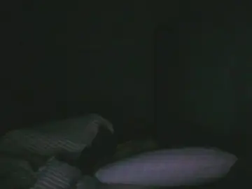 Cam4 Live Porn of Samuelsalvador