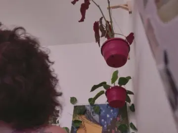 Cam4 Adult Video Chat of talimajesty