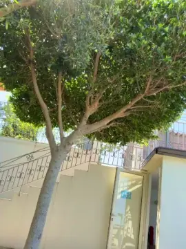 Cam4 Live Sex Cam of Mazzetta1988