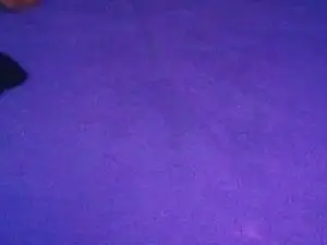 Cam4 Watch Live Sex Cams of Activo79