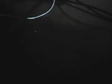 Cam4 Private Sex Chat of Giornalista66