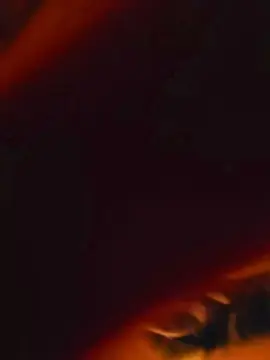 Cam4 Live Sex of NicoySaki
