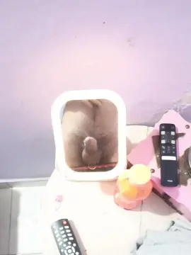 Cam4 Adult Video Chat of spiderhot5