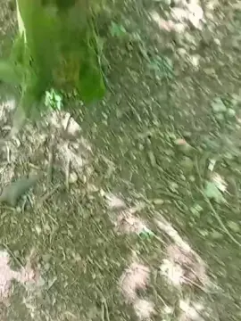 Cam4 Watch Live Sex Cams of Slutddy55