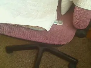 Cam4 Adult Webcam of Strolchibaer