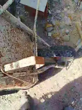 Cam4 Live Sex of peruca6