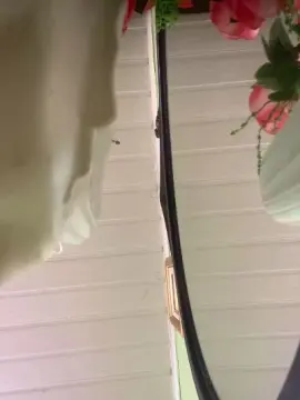 Cam4 Live Porn of Morenonicexxxl