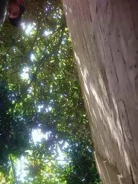 Cam4 Adult Video Chat of gabilopezxxx