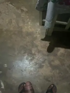 Cam4 Private Sex Chat of Pau_preto00