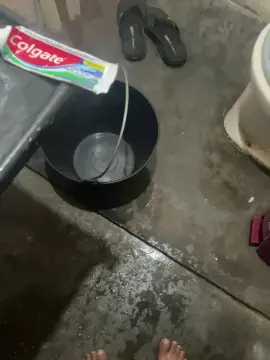 Cam4 Sex Cam of Pau_preto00