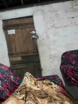 Cam4 Adult Webcam of Pau_preto00