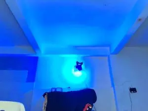 Cam4 Live Sex Cam of bigcentauro233